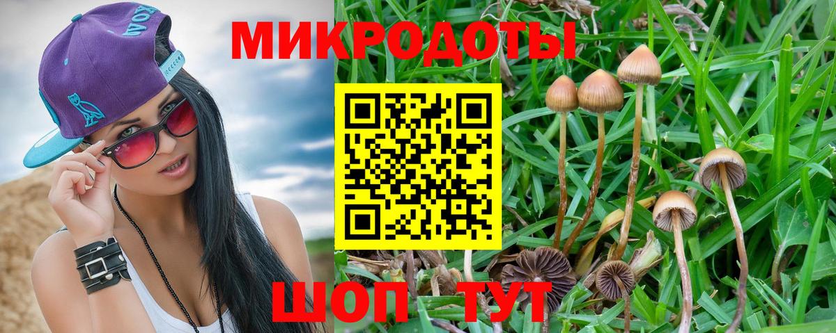 Псилоцибиновые грибы GOLDEN TEACHER  Псилоцибиновые грибы прущие грибы  Кыштым  Вход с VPN 