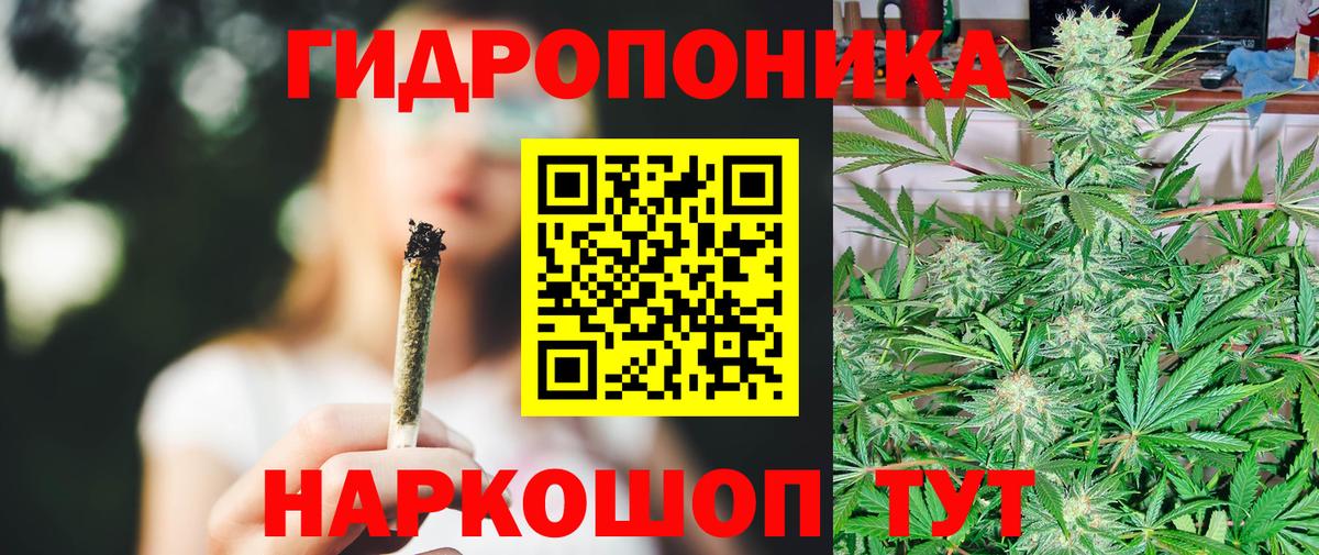 Кыштым  Шишки марихуана индика  Вход с VPN  Канабис планчик  Бошки Шишки марихуана 